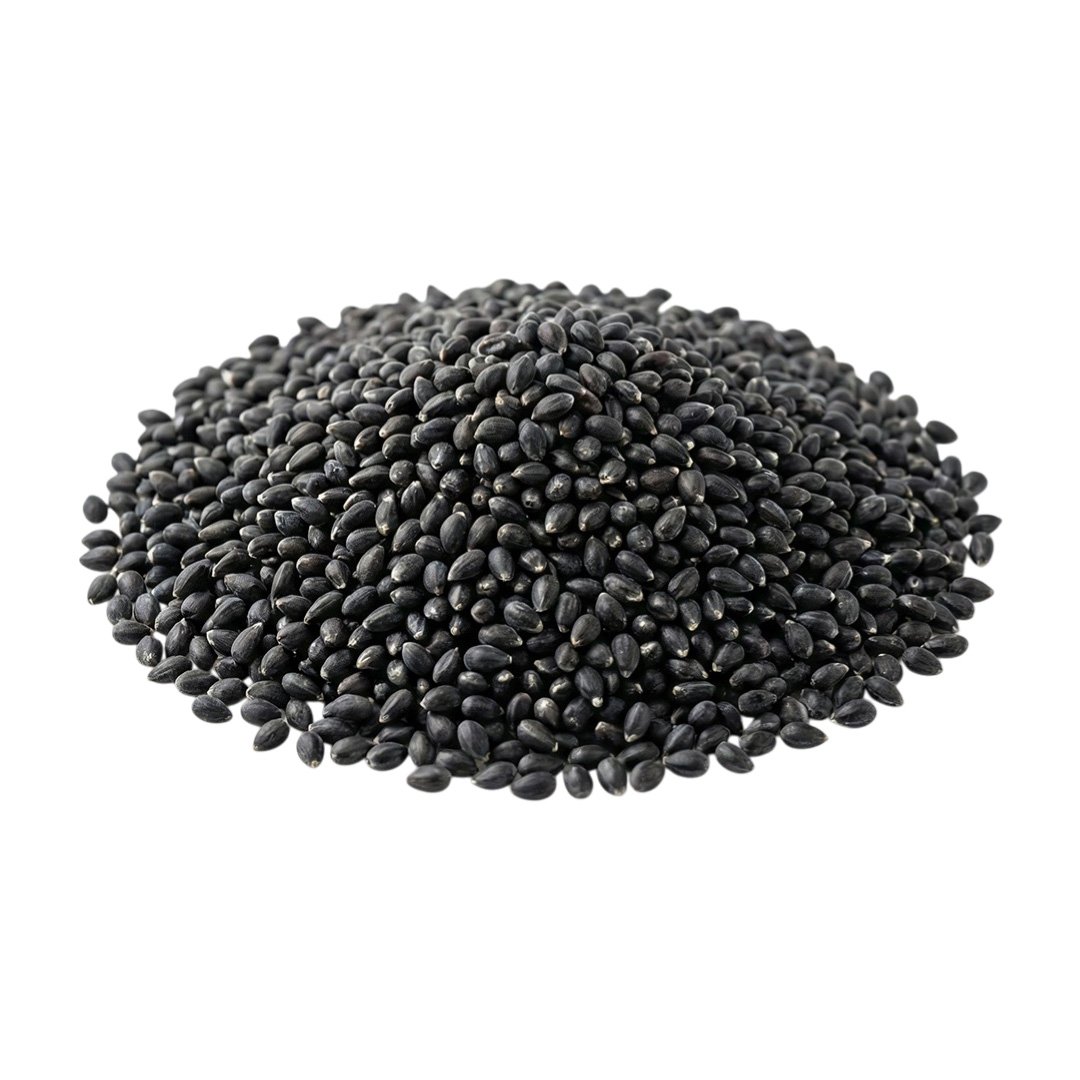 Basil Seeds