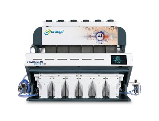 Femtosort Gravis AI Rice