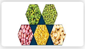 Multi Commodity Sorting