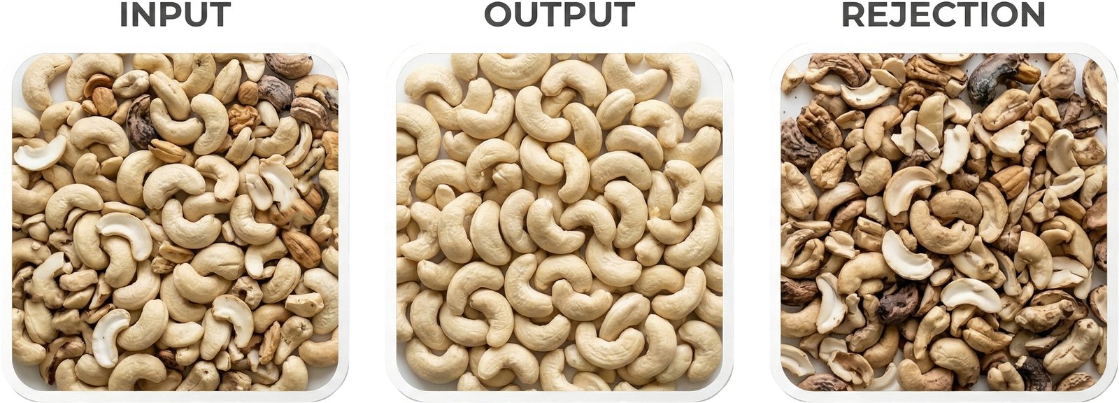 Cashew Nuts