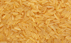 Yellow Rice