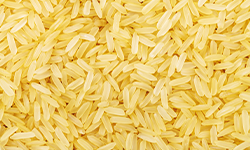 Yellow Rice