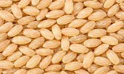 Brown Rice