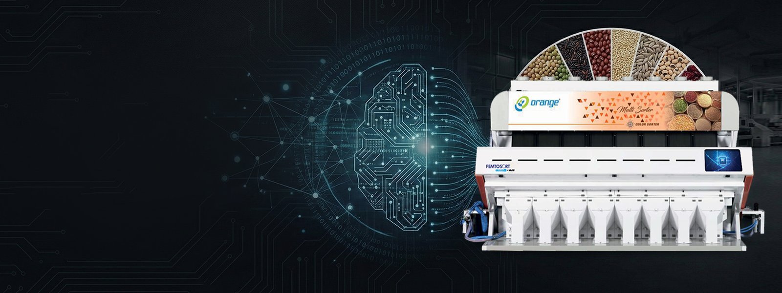 Color Sorting solution